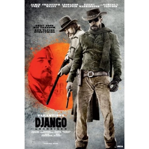 Django Unchained - They Took His Freedom Poster - 22 x 34 inches