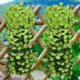thumbnail image 1 of Djiypn Artificial Fake Hanging Plants Flowers for Outdoor Outside Decoration, 2PCS Faux Silk Glory Long Vines Look Real for Home Porch Patio Planter, Green, 1 of 7