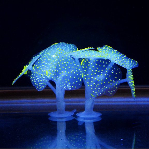 kladzum Aquarium Fish Tank Artificial Coral Plant Underwater Ornament Decor, Aquarium Lights Fish Tank Decorations