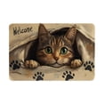 thumbnail image 1 of Djunllk Decorative Door Rug - Non Slip & Stain Resistant Floor Mat Stylish Doormat for Front Door Room Entryway, 15 x 23 inch, 1 of 6