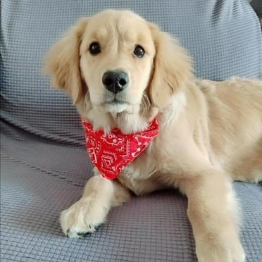 Djunllk Dog Bandanas Pet Scarf Bib, Pet Triangular Scarf Bib, Puppy Neckerchief for Pet Costume Party Accessories on Clearance