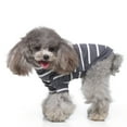 thumbnail image 1 of kladzum Dog Sweaters Dog Warm Shirt Pet Clothes Color Striped Turtleneck Pullover Two-Legged Pet Sweater, Dog Sweaters, Small Dog Coat Warm Sweartershirts, 1 of 8