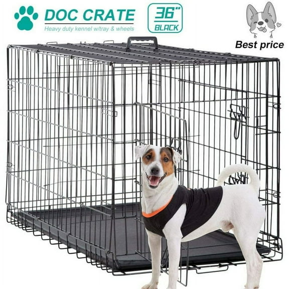 Dkeli 36 inch Dog Crates for Medium Dogs Folding Dog Cage Dog Kennel Pet Animal Crate with Double-Door,Tray and Divider for Dog Training