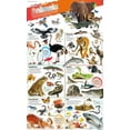 thumbnail image 1 of Dkfindout! Animals Poster, 1 of 1