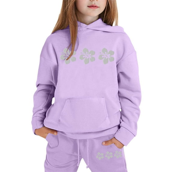 Dlasu Outfit Sets for Toddler Girls Flannel Floral Print Long Sleeve Hoodie Pullover and Sweatpants Winter Fall Sweatsuit Suits