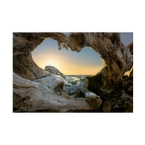 Dmitry Kulagin 'Open The Window' Canvas Art