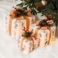 thumbnail image 1 of Dmlowu Christmas Decorations Lighted Gift Box - White Christmas Lights Gift Boxes Set of 3, Pre-Lit Gift Boxes with Lids for Presents Holiday Party Christmas Tree Decorations, 1 of 8