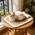 thumbnail image 1 of Dmlowu Dog Bed for Small Medium Dogs, Soft Washable Cooling Mat for Dogs Cats, Non-Slip Heat Reducing Breathable Cat Bed for Indoor Outdoor Use, 1 of 7