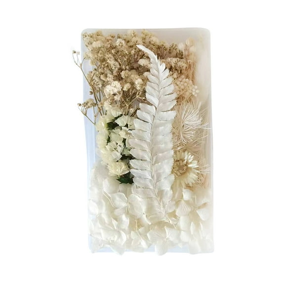 Dmlowu Real dried flowers Material Kit - Everlasting valentines flowers for valentines day, Natural pressed flowers gifts for women men, DIY dried flowers for crafts