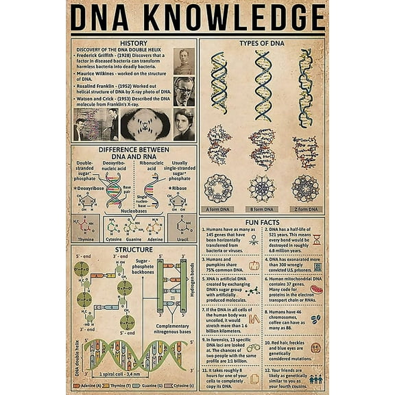 Dna Knowledge Metal Signs Wall Decor Poster Biomedical Science Posters School Room Decor Home Classroom Office Studio Club Retro Plaque Size: 8 x 12 inch