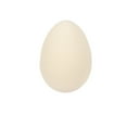 thumbnail image 1 of Do It Yourself Ceramic Eggs - Craft Kits - 12 Pieces, 1 of 3