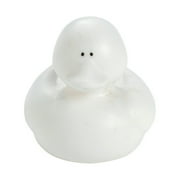 Do It Yourself Plastic Rubber Duckie - Craft Kits - 12 Pieces
