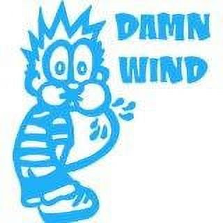 Do It Yourself Wall Decal Sticker Damm Wind Boys Bed Room 9x9
