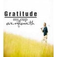 thumbnail image 1 of Do It Yourself Wall Decal Sticker Gratitude Bedroom, 1 of 1