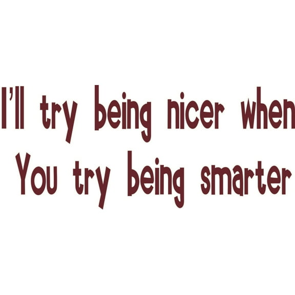 Do It Yourself Wall Decal Sticker I'll Try Being Nicer When You Try Being Smarter Funny Quote Car Bumper 6x18"