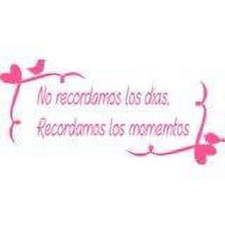Do It Yourself Wall Decal Sticker Lettering 'No Recordamos Los Dias,..' Quotes