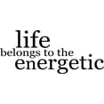 thumbnail image 1 of Do It Yourself Wall Decal Sticker Life Belongs Living Room Size: 8 X20", 1 of 1