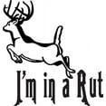 thumbnail image 1 of Do It Yourself Wall Decal Sticker Living Room Art I'm In A Rut Animal Kids Boys Bed Room 16x16", 1 of 1