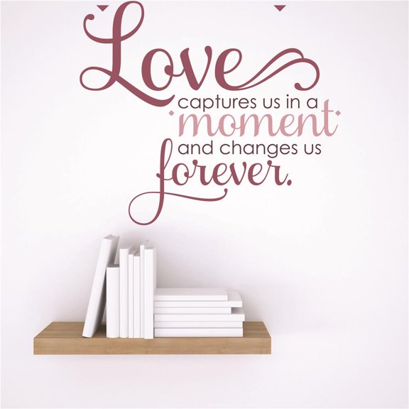 Do It Yourself Wall Decal Sticker Love Captures Us In A Moment And Changes Us Forever. Life Quote 15x15"