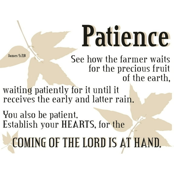 Do It Yourself Wall Decal Sticker Patience How The Farmer Waits God Christ Bible Quote James 57 16x24"