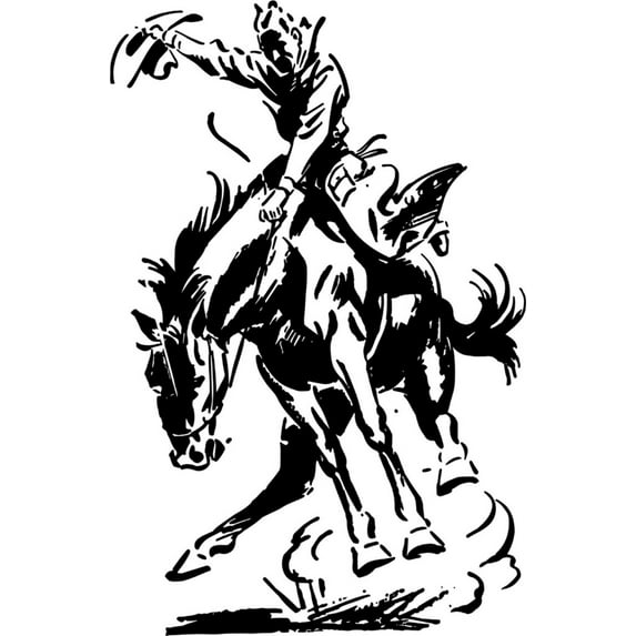 Do It Yourself Wall Decal Sticker Rodeo Kids Boys Bed Room Size: 20x30"
