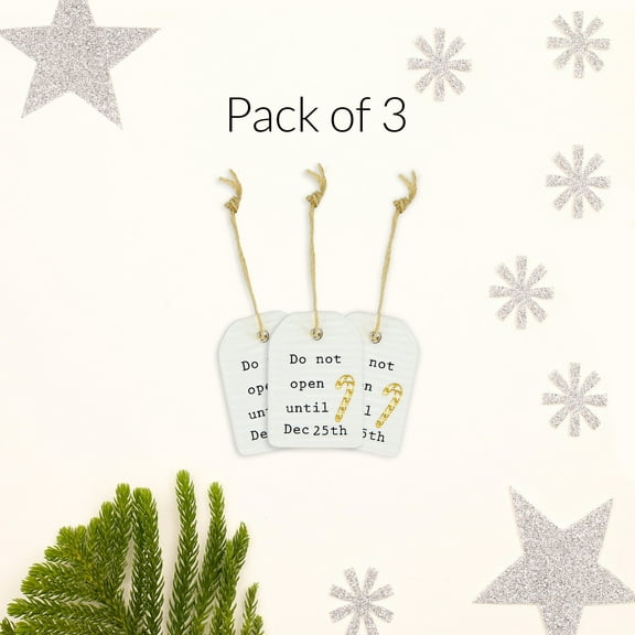Pavilion Gift Company - Do Not Open - 1.5" Mini Tag
(Set of 3)
