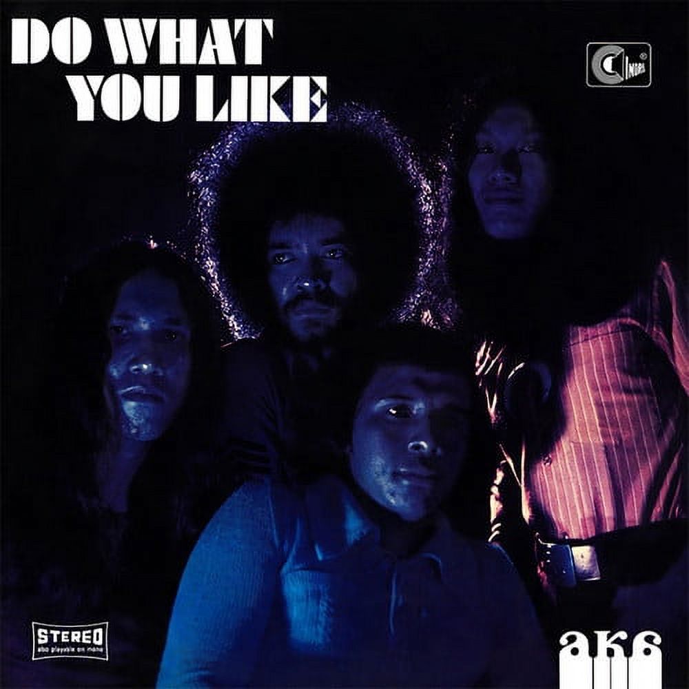 Aka - Do What You Like - Music & Performance - CD