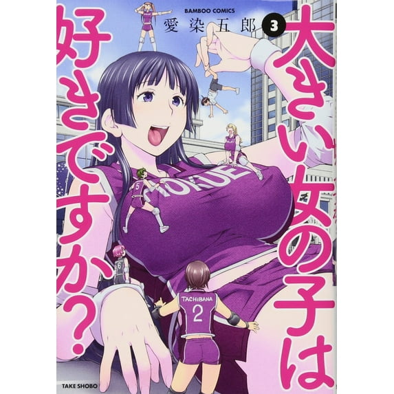 Do You Like Big Girls?: Do You Like Big Girls? Vol. 3 (Series #3) (Paperback)