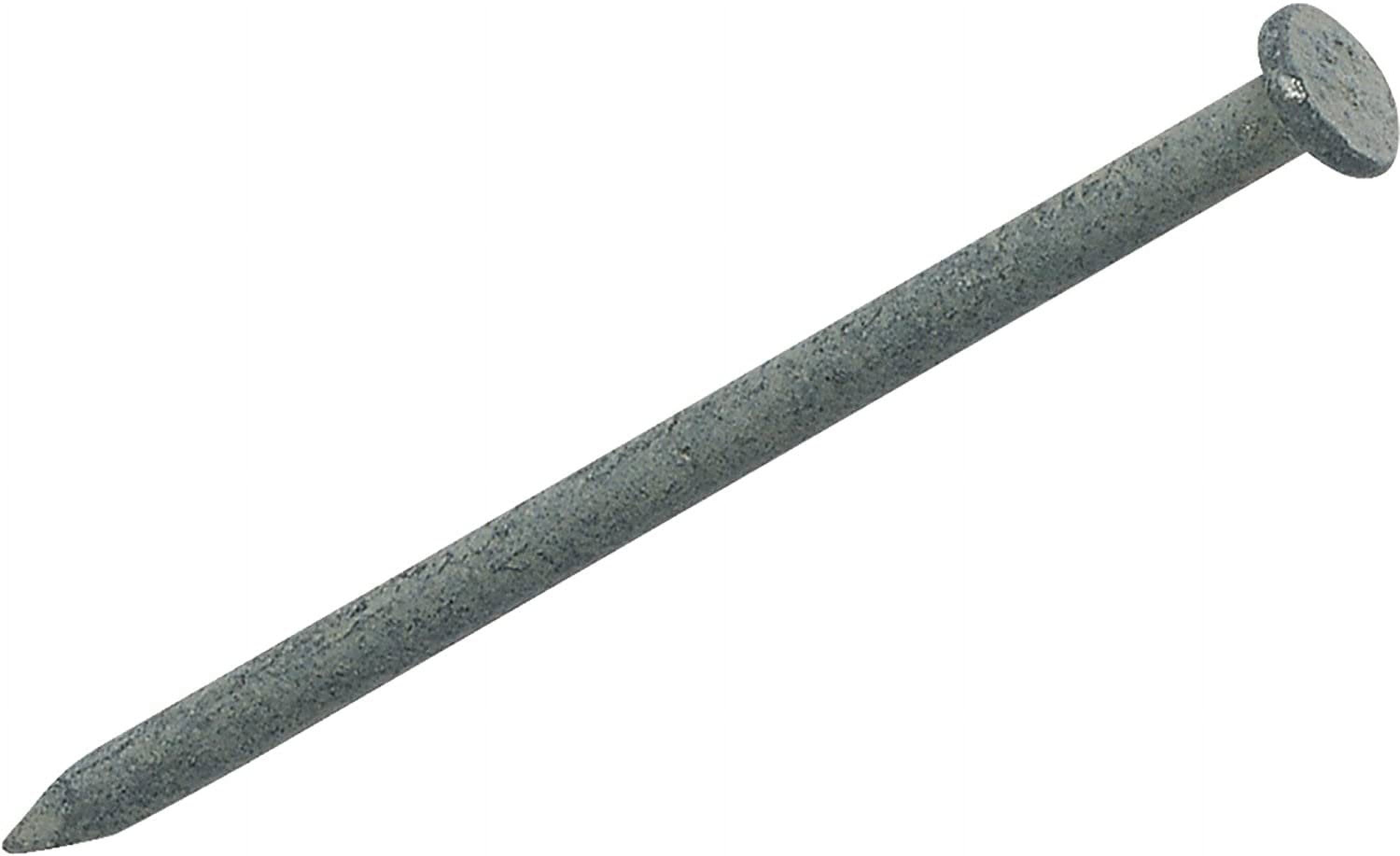 Do it 1 Lb. Hot-Dipped Galvanized Common Nail