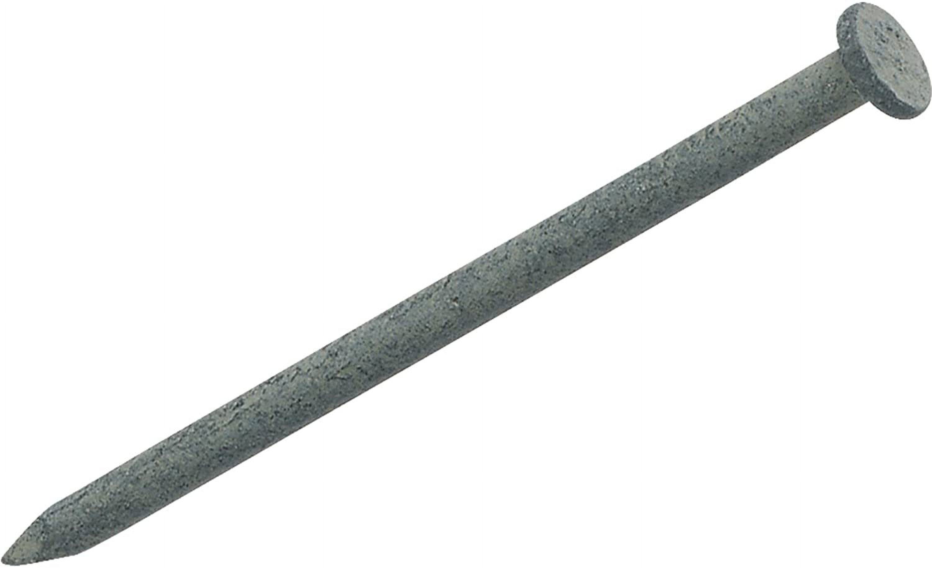 Do it 5 Lb. Hot-Dipped Galvanized Common Nail