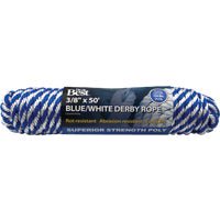 Do it Best Global Sourcing Do it Best Derby Polypropylene Packaged Rope - Pack of 12 Stock-Up Pack
