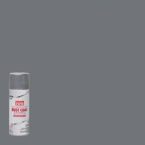 Rust-Oleum Rust Coat Enamel Spray Paint - Durable, Interior/Exterior - 12 oz, Silver