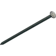 PRIMESOURCE 720866 Nail