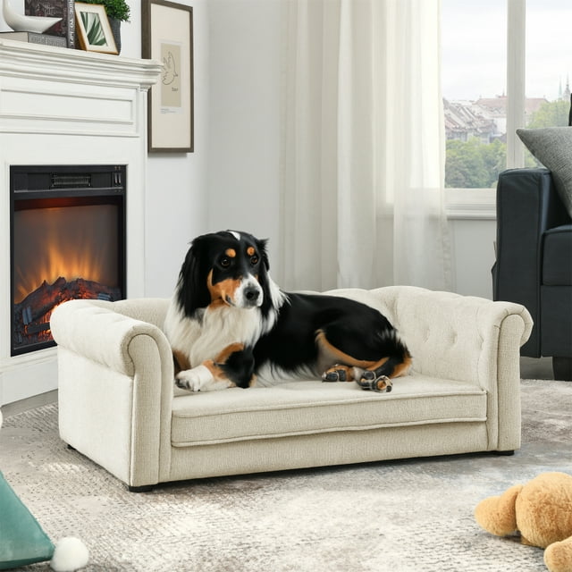 Doayai Rectangle Elevated Pet Bed Sofa for Small & Medium Dogs – Comfortable & Durable Raised Pet Couch with Cushioned Padding, Easy to Clean, Modern Furniture Design