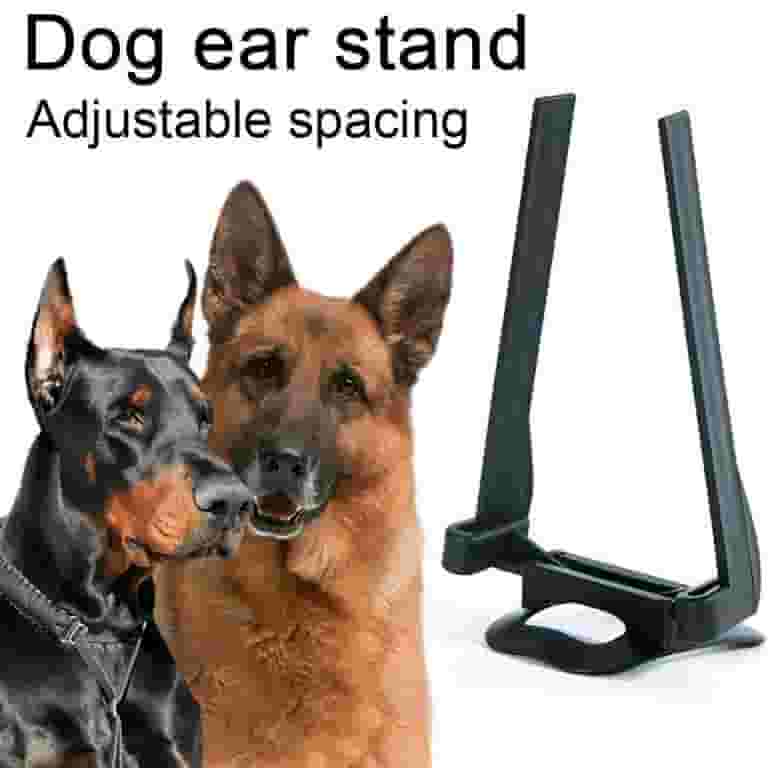 Doberman Puppies Doberman Ear Supports Doberman Pinscher Dog Breed