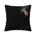 Doberman Pinscher Pets Dogs Black Dogs Doberman Pillow Cover Decorative