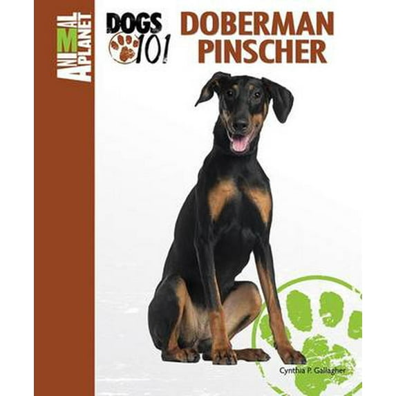 Doberman Pinscher