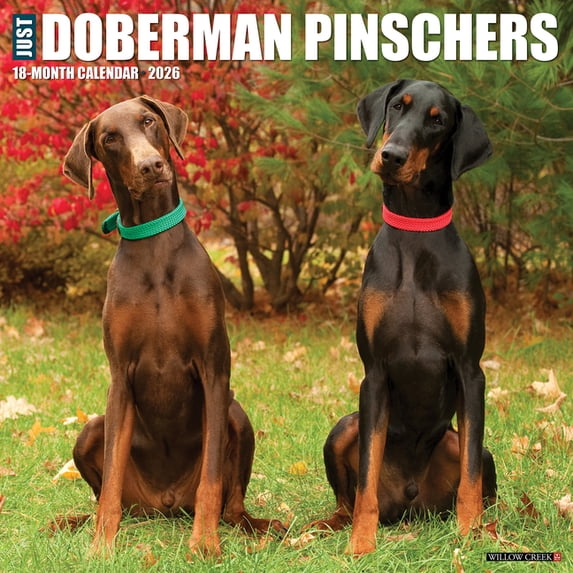 Doberman Pinschers 2026 Wall Calendar, (Paperback)