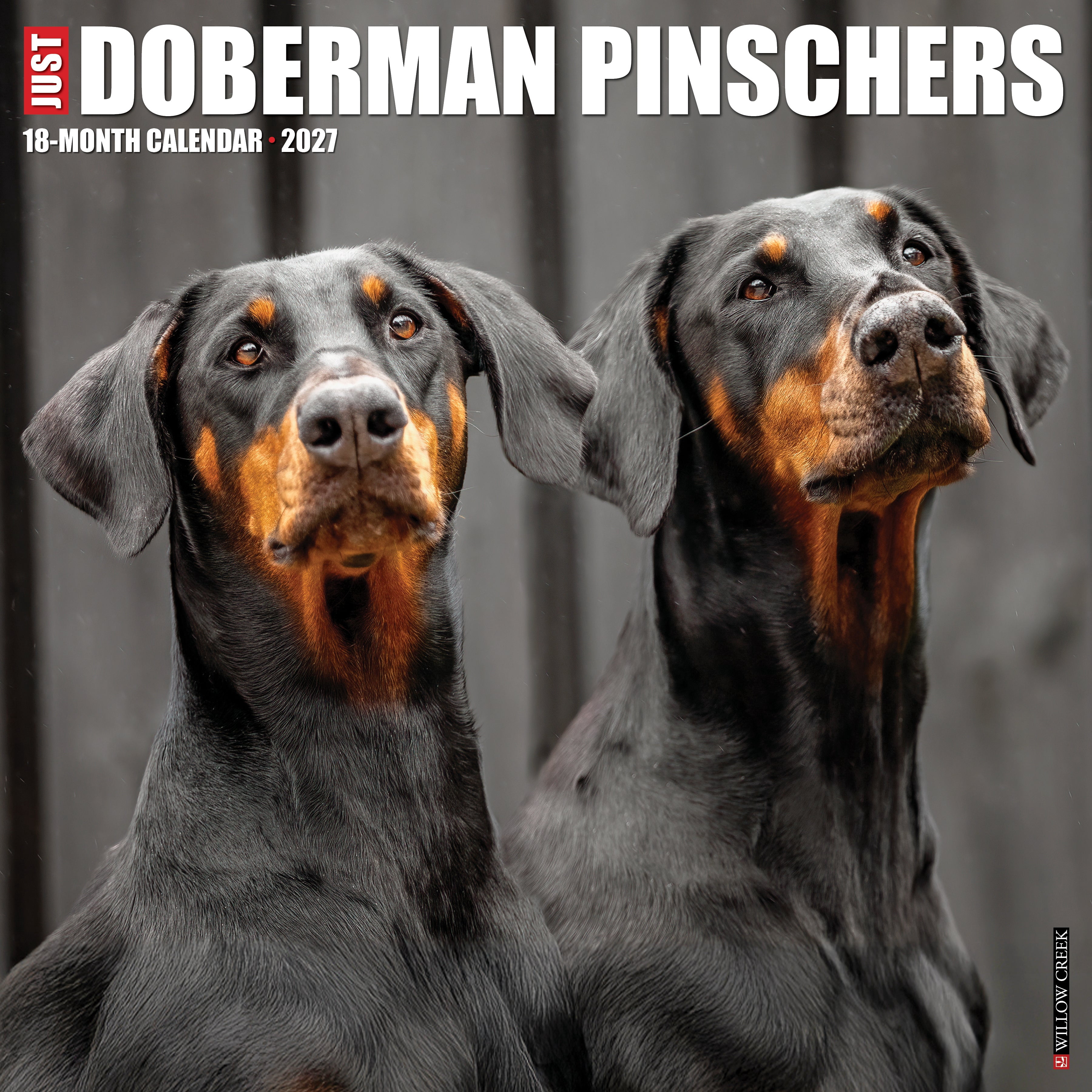 Willow Creek Press, Doberman Pinschers 2027 Wall Calendar