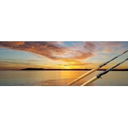Dobyns Rods DRX752SF Xtasy Series 75 1pc. 6-12lb, 1/8-1/2oz, Med/Light Fast