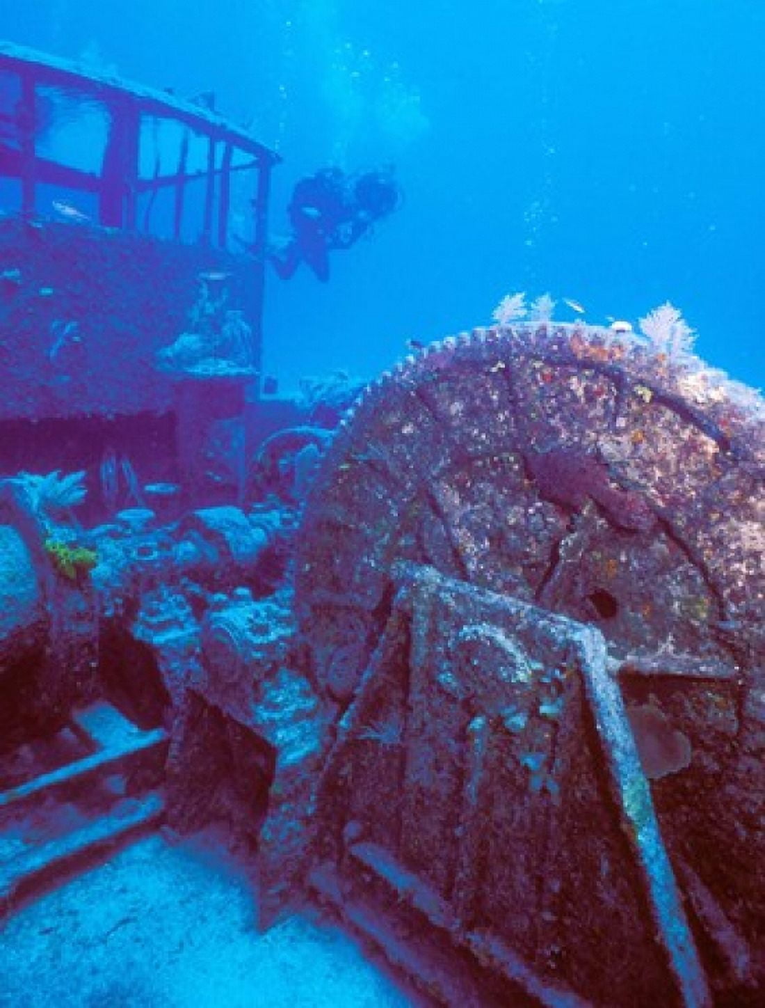 Doc Polson Wreck in the sea Grand Cayman Cayman Islands Canvas Art - Panoramic Images (28 x 36)
