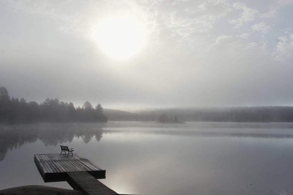 Dock In Morning Fog Oxtongue Lake Dwight Ontario Canvas Art - Doug Hamilton Design Pics (17 x 11)