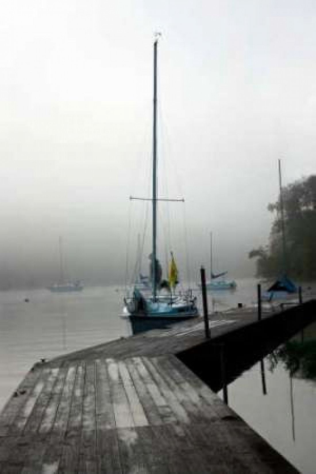 Docked I Canvas Art - Tammy Putman (20 x 28)