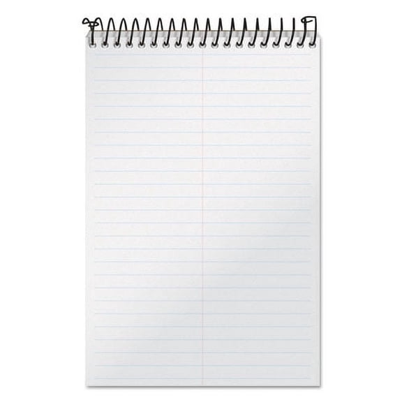 Docket Gold Steno Pads, Gregg Rule, Frosted White Cover, 100 White (Heavyweight 20 lb Bond) 6 x 9 Sheets | Bundle of 10 Each