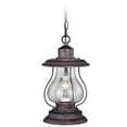 thumbnail image 1 of Dockside 1 Light Bronze Coastal Outdoor Lantern Pendant Clear Glass, 1 of 9