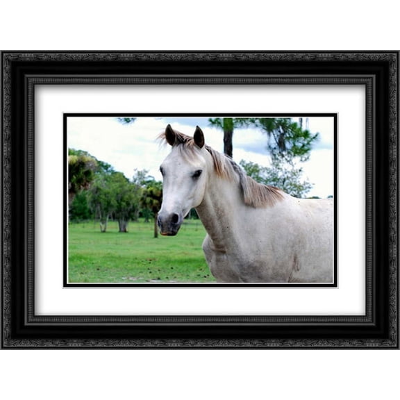 Dockside 2x Matted 24x18 Black Ornate Framed Art Print by Peck, Gail