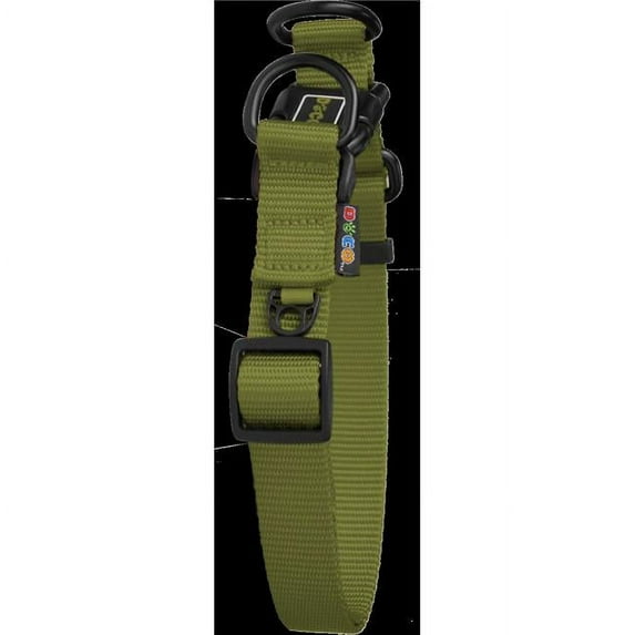 Doco DCS005-10XL Double D-Ring Dog Neck Collar, Olive Green - Extra Large