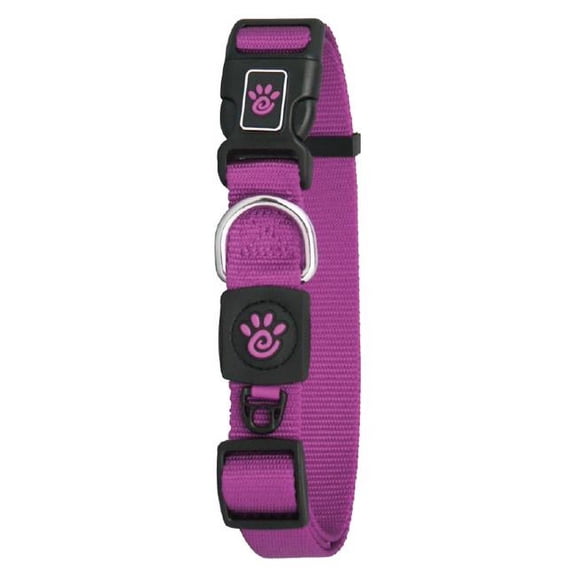 Doco DCSN1048-06S 4 ft. Signature Nylon Leash Dog Collar, Purple - Small