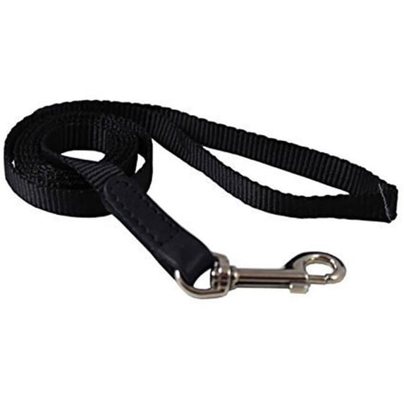 Doco DCSN1060-S7L 5 ft. Fray Resistant Signature Nylon Leash, Light Green - Large