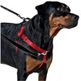 thumbnail image 1 of Doco DCSN201-04XS Signature Nylon H-Harness Leash, Pink - Extra Small, 1 of 1